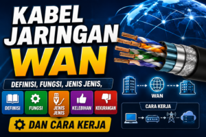 Wide Area Network (WAN) merupakan media fisik atau penghantar yang digunkan untuk membentuk dan menghubungkan jaringan WAN,