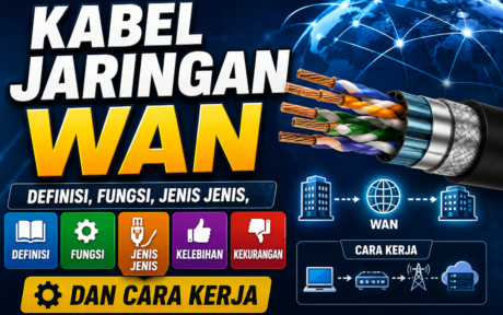 Wide Area Network (WAN) merupakan media fisik atau penghantar yang digunkan untuk membentuk dan menghubungkan jaringan WAN,